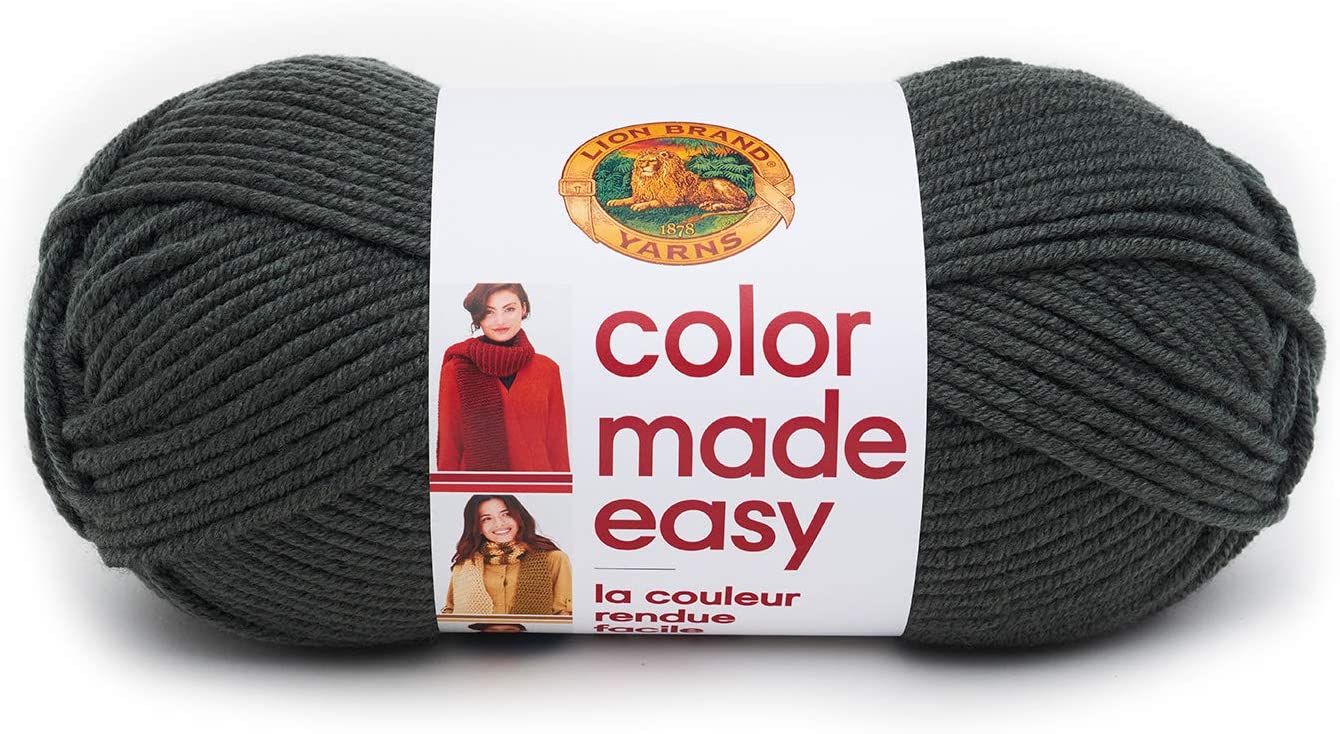 Lion Brand Color Made Easy Bulky Yarn