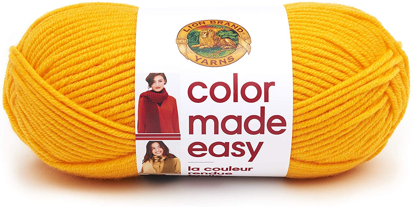 Lion Brand Color Made Easy Bulky Yarn